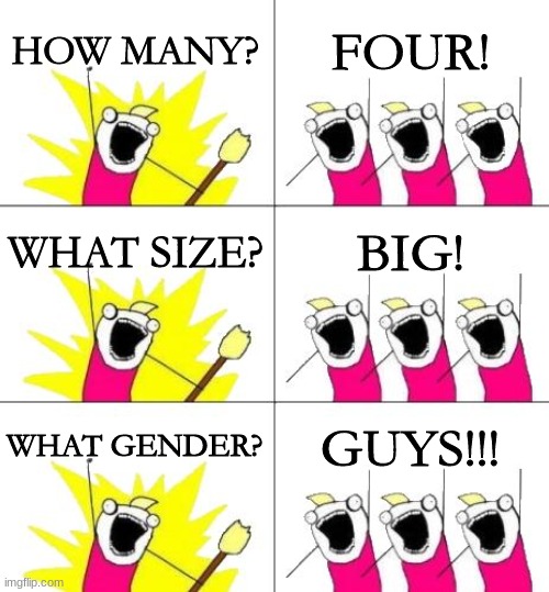 What Do We Want 3 | HOW MANY? FOUR! WHAT SIZE? BIG! WHAT GENDER? GUYS!!! | image tagged in memes,what do we want 3 | made w/ Imgflip meme maker