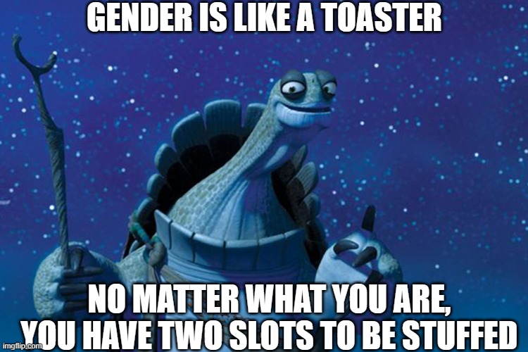 wisdom with oogway episode 1 | GENDER IS LIKE A TOASTER; NO MATTER WHAT YOU ARE, YOU HAVE TWO SLOTS TO BE STUFFED | image tagged in master oogway | made w/ Imgflip meme maker