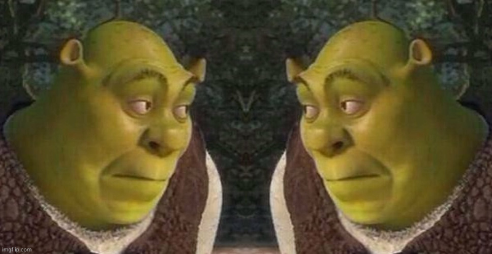 Shrek Stares at Shrek Blank Meme Template