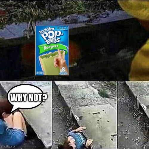 MMMMMMM, booger pop tarts | WHY NOT? | image tagged in it clown sewers | made w/ Imgflip meme maker