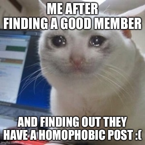 Crying cat | ME AFTER FINDING A GOOD MEMBER; AND FINDING OUT THEY HAVE A HOMOPHOBIC POST :( | image tagged in crying cat | made w/ Imgflip meme maker