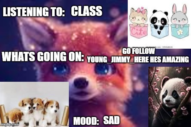 cute | CLASS; GO FOLLOW YOUNG_JIMMY_HERE HES AMAZING; SAD | image tagged in cute | made w/ Imgflip meme maker