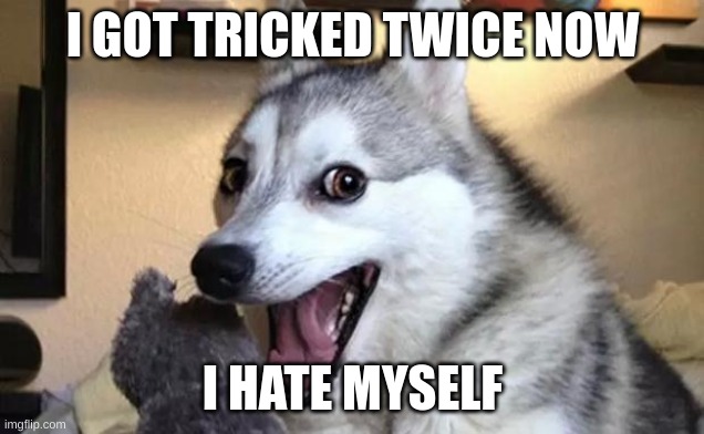 I GOT TRICKED TWICE NOW I HATE MYSELF | image tagged in pun dog - husky | made w/ Imgflip meme maker