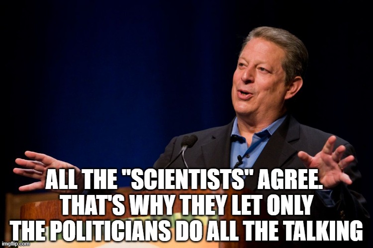 Al Gore | ALL THE "SCIENTISTS" AGREE. 
THAT'S WHY THEY LET ONLY THE POLITICIANS DO ALL THE TALKING | image tagged in al gore | made w/ Imgflip meme maker