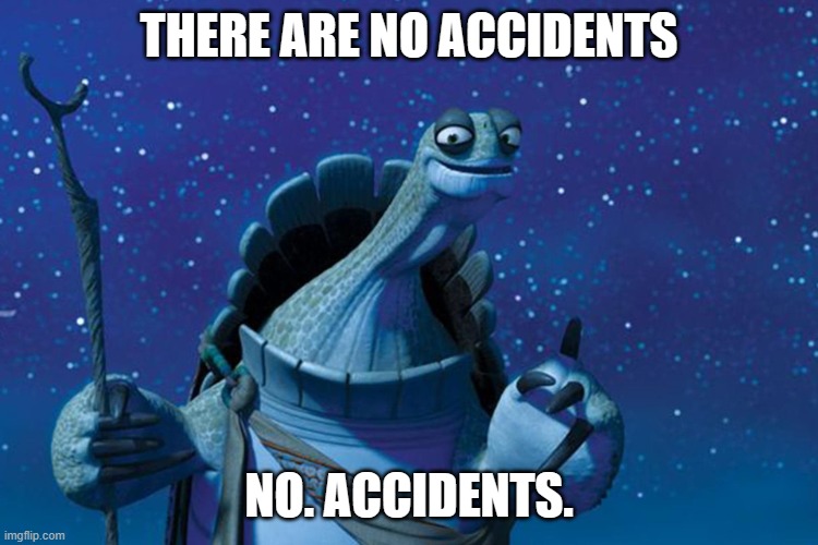 Master Oogway | THERE ARE NO ACCIDENTS NO. ACCIDENTS. | image tagged in master oogway | made w/ Imgflip meme maker