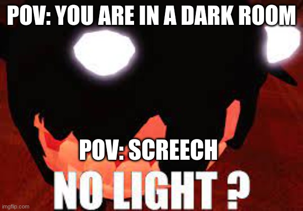 POV: YOU ARE IN A DARK ROOM; POV: SCREECH | image tagged in doors | made w/ Imgflip meme maker