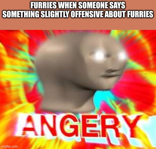 Surreal Angery | FURRIES WHEN SOMEONE SAYS SOMETHING SLIGHTLY OFFENSIVE ABOUT FURRIES | image tagged in surreal angery | made w/ Imgflip meme maker