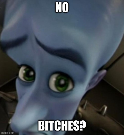 Megamind no bitches | NO; BITCHES? | image tagged in megamind no bitches | made w/ Imgflip meme maker