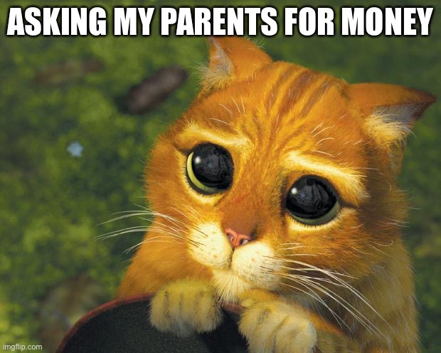 Pretty Please Cat | ASKING MY PARENTS FOR MONEY | image tagged in pretty please cat | made w/ Imgflip meme maker