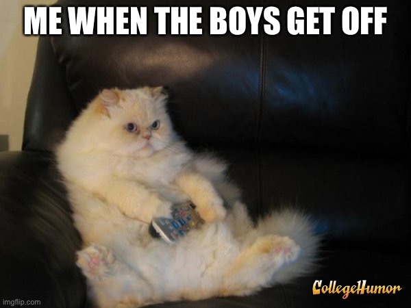 Fat Cat Watching TV Black Couch | ME WHEN THE BOYS GET OFF | image tagged in fat cat watching tv black couch | made w/ Imgflip meme maker