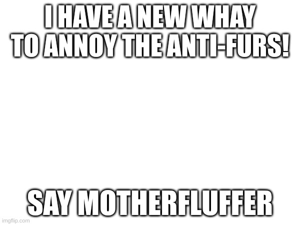 I HAVE A NEW WHAY TO ANNOY THE ANTI-FURS! SAY MOTHERFLUFFER | made w/ Imgflip meme maker