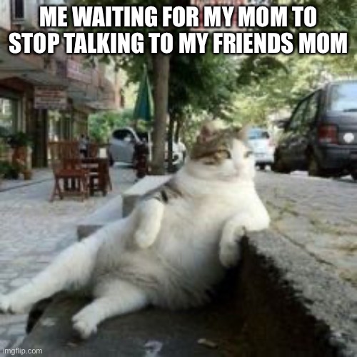 fat cat | ME WAITING FOR MY MOM TO STOP TALKING TO MY FRIENDS MOM | image tagged in fat cat | made w/ Imgflip meme maker