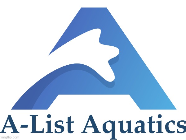 A-list | image tagged in aquatics,swimming pool | made w/ Imgflip meme maker