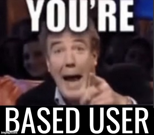 You're X (Blank) | BASED USER | image tagged in you're x blank | made w/ Imgflip meme maker