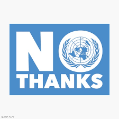 UN No Thanks | image tagged in un no thanks | made w/ Imgflip meme maker