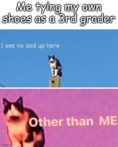 i learned in high school | Me tying my own shoes as a 3rd grader | image tagged in hail pole cat,memes,funny | made w/ Imgflip meme maker