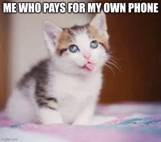 who said i cared | ME WHO PAYS FOR MY OWN PHONE | image tagged in who said i cared | made w/ Imgflip meme maker