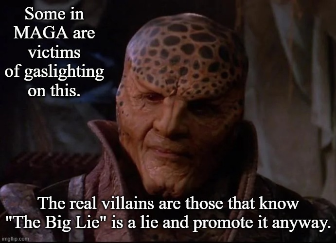 gkar | Some in MAGA are victims of gaslighting on this. The real villains are those that know "The Big Lie" is a lie and promote it anyway. | image tagged in gkar | made w/ Imgflip meme maker