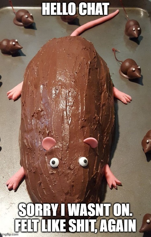 chocolate rat | HELLO CHAT; SORRY I WASNT ON. FELT LIKE SHIT, AGAIN | image tagged in chocolate rat | made w/ Imgflip meme maker