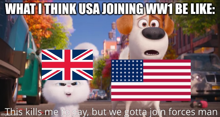 ... | WHAT I THINK USA JOINING WW1 BE LIKE: | image tagged in this kills me to say but we gotta join forces man | made w/ Imgflip meme maker