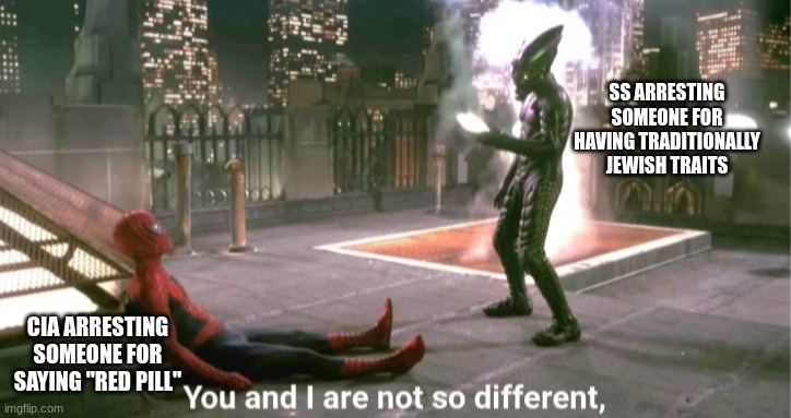 The Demokkkrats are turning this country into a Nazi state | SS ARRESTING SOMEONE FOR HAVING TRADITIONALLY JEWISH TRAITS; CIA ARRESTING SOMEONE FOR SAYING "RED PILL" | image tagged in you and i are not so diffrent | made w/ Imgflip meme maker