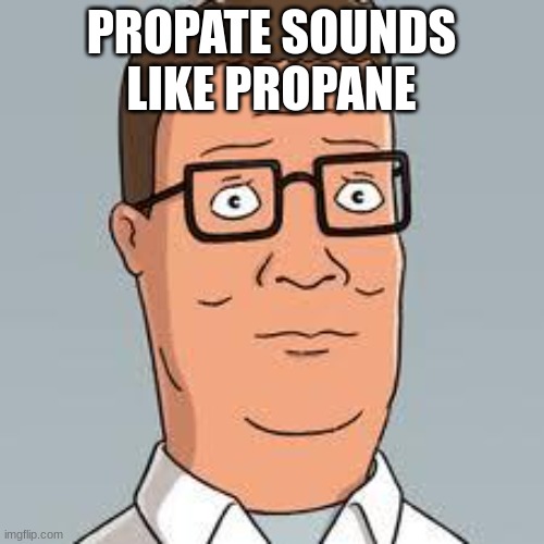 Hank Hill | PROPATE SOUNDS LIKE PROPANE | image tagged in hank hill | made w/ Imgflip meme maker