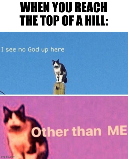 xd | WHEN YOU REACH THE TOP OF A HILL: | image tagged in hail pole cat | made w/ Imgflip meme maker