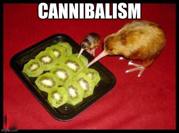 Kiwi birds | CANNIBALISM | image tagged in kiwicannibalism | made w/ Imgflip meme maker