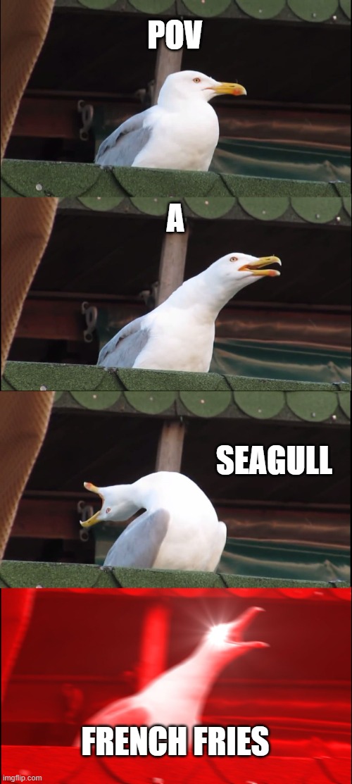 Inhaling Seagull Meme | POV; A; SEAGULL; FRENCH FRIES | image tagged in memes,inhaling seagull,low effort,french fries | made w/ Imgflip meme maker