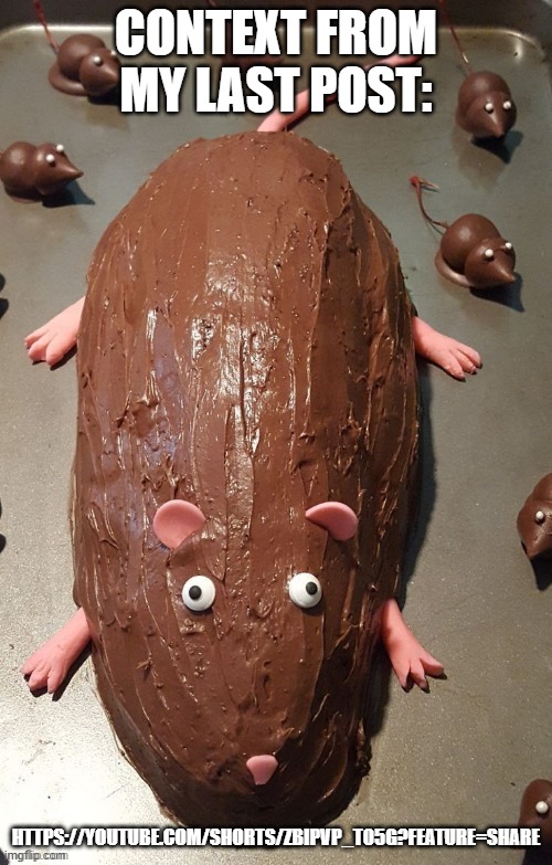 chocolate rat | CONTEXT FROM MY LAST POST:; HTTPS://YOUTUBE.COM/SHORTS/ZBIPVP_T05G?FEATURE=SHARE | image tagged in chocolate rat | made w/ Imgflip meme maker