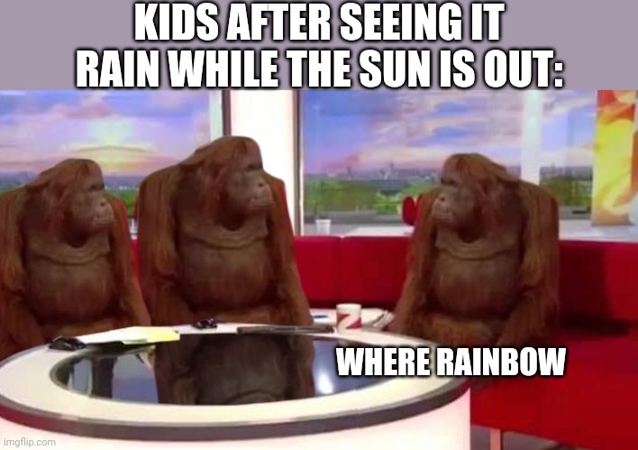 WHERE IS THE DAMN RAINBOW | KIDS AFTER SEEING IT RAIN WHILE THE SUN IS OUT:; WHERE RAINBOW | image tagged in where monkey | made w/ Imgflip meme maker