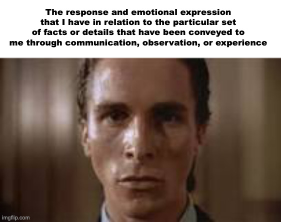 . | The response and emotional expression that I have in relation to the particular set of facts or details that have been conveyed to me through communication, observation, or experience | image tagged in patrick bateman staring | made w/ Imgflip meme maker