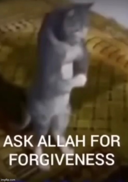 Beg for allah | image tagged in beg for allah | made w/ Imgflip meme maker