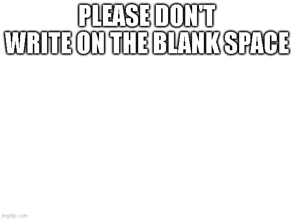 PLEASE DON'T WRITE ON THE BLANK SPACE | image tagged in blank white template | made w/ Imgflip meme maker