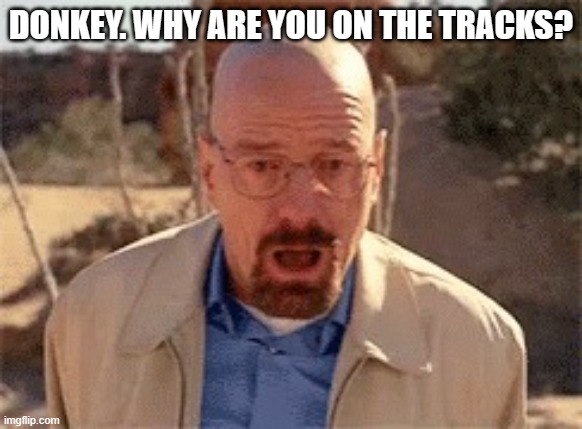 Walter White | DONKEY. WHY ARE YOU ON THE TRACKS? | image tagged in walter white | made w/ Imgflip meme maker