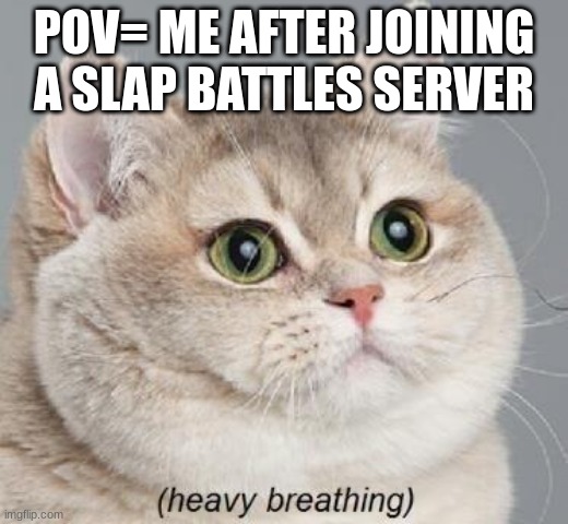 Heavy Breathing Cat Meme | POV= ME AFTER JOINING A SLAP BATTLES SERVER | image tagged in memes,heavy breathing cat | made w/ Imgflip meme maker