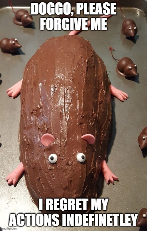chocolate rat | DOGGO, PLEASE FORGIVE ME; I REGRET MY ACTIONS INDEFINETLEY | image tagged in chocolate rat | made w/ Imgflip meme maker
