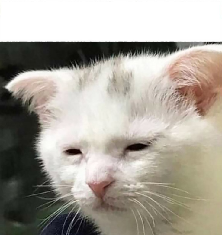 High Quality Obudzony ale jakim kosztem Blank Meme Template