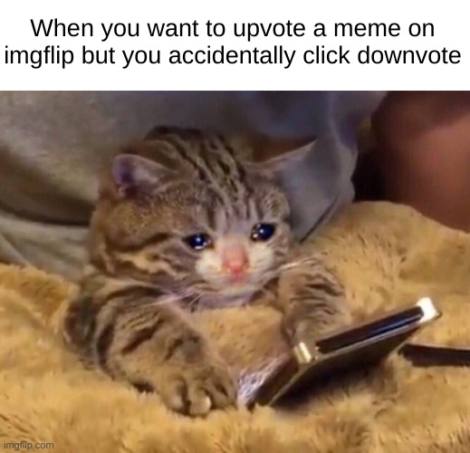 I hate it when that happens. It makes me feel so bad. | When you want to upvote a meme on imgflip but you accidentally click downvote | image tagged in sad cat phone | made w/ Imgflip meme maker