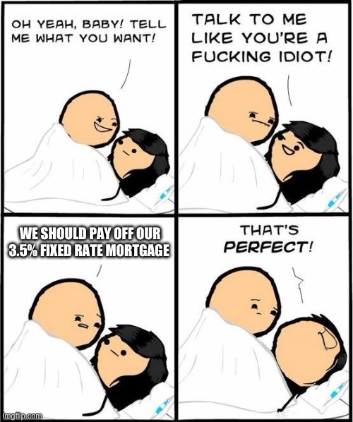 talk to me like you're a fucking idiot | WE SHOULD PAY OFF OUR 3.5% FIXED RATE MORTGAGE | image tagged in talk to me like you're a fucking idiot,fijerk | made w/ Imgflip meme maker