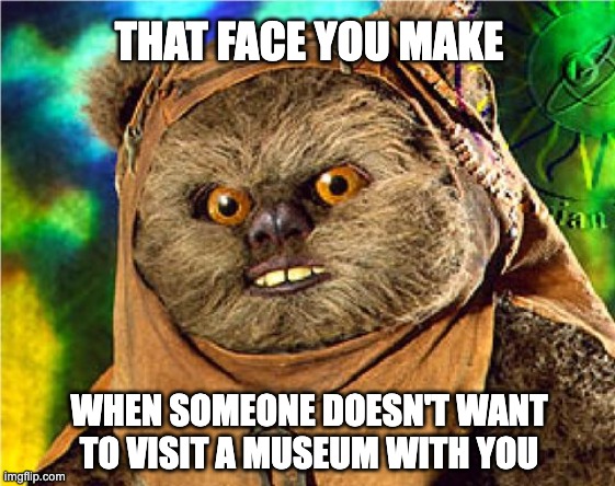 Museum-Loving Angry Ewok | THAT FACE YOU MAKE; WHEN SOMEONE DOESN'T WANT TO VISIT A MUSEUM WITH YOU | image tagged in angry ewok,museums,museum,ewok,star war,museum person | made w/ Imgflip meme maker