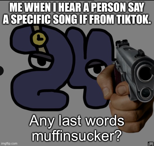 Twenty Fourick you! | ME WHEN I HEAR A PERSON SAY A SPECIFIC SONG IF FROM TIKTOK. Any last words muffinsucker? | image tagged in twenty fourick you | made w/ Imgflip meme maker