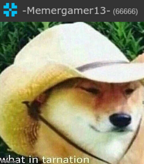 AUUUGGGGHHH | image tagged in what in tarnation dog,666 | made w/ Imgflip meme maker