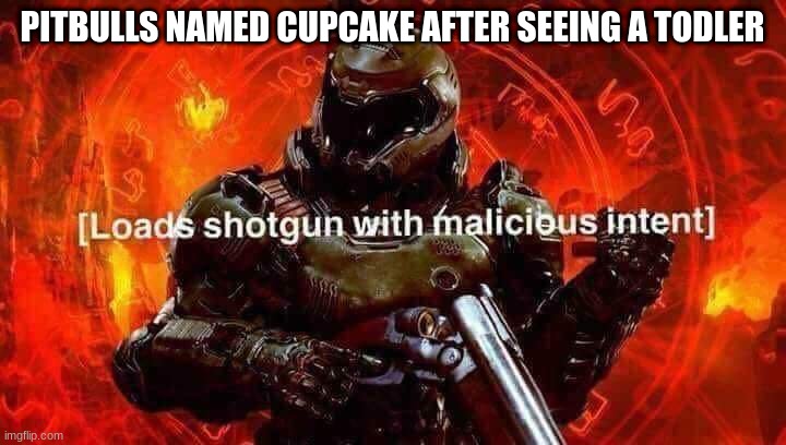 Loads shotgun with malicious intent | PITBULLS NAMED CUPCAKE AFTER SEEING A TODLER | image tagged in loads shotgun with malicious intent | made w/ Imgflip meme maker