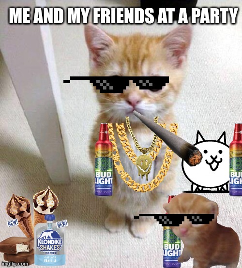 Cute Cat | ME AND MY FRIENDS AT A PARTY | image tagged in memes,cute cat | made w/ Imgflip meme maker