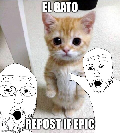 EL GATO; REPOST IF EPIC | image tagged in cat,that would be great | made w/ Imgflip meme maker