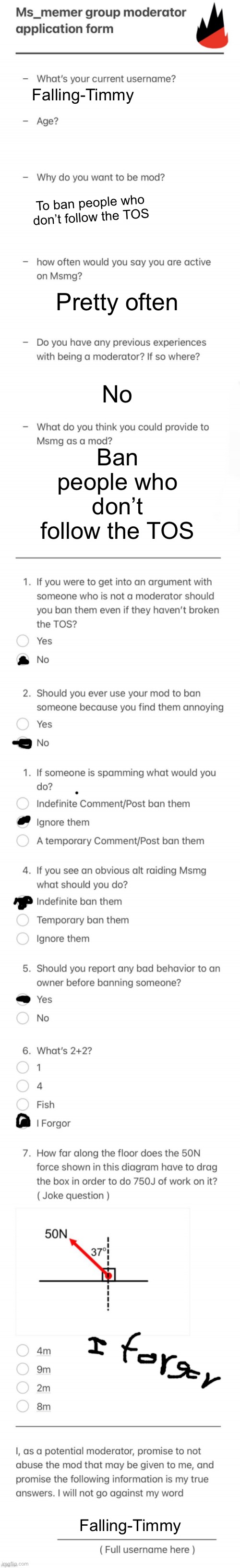 UPDATED MSMG MOD FORM | Falling-Timmy; To ban people who don’t follow the TOS; Pretty often; No; Ban people who don’t follow the TOS; Falling-Timmy | image tagged in updated msmg mod form | made w/ Imgflip meme maker