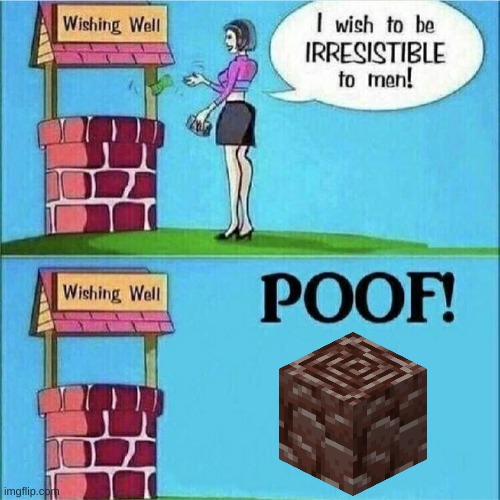 I wish to be irresistible to men | image tagged in i wish to be irresistible to men | made w/ Imgflip meme maker