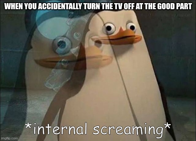 tv | WHEN YOU ACCIDENTALLY TURN THE TV OFF AT THE GOOD PART | image tagged in private internal screaming | made w/ Imgflip meme maker