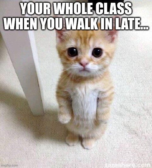 MY BOYFRIEND WHEN HE WALKED IN | YOUR WHOLE CLASS WHEN YOU WALK IN LATE... | image tagged in memes,cute cat,excuse me wtf blank template | made w/ Imgflip meme maker